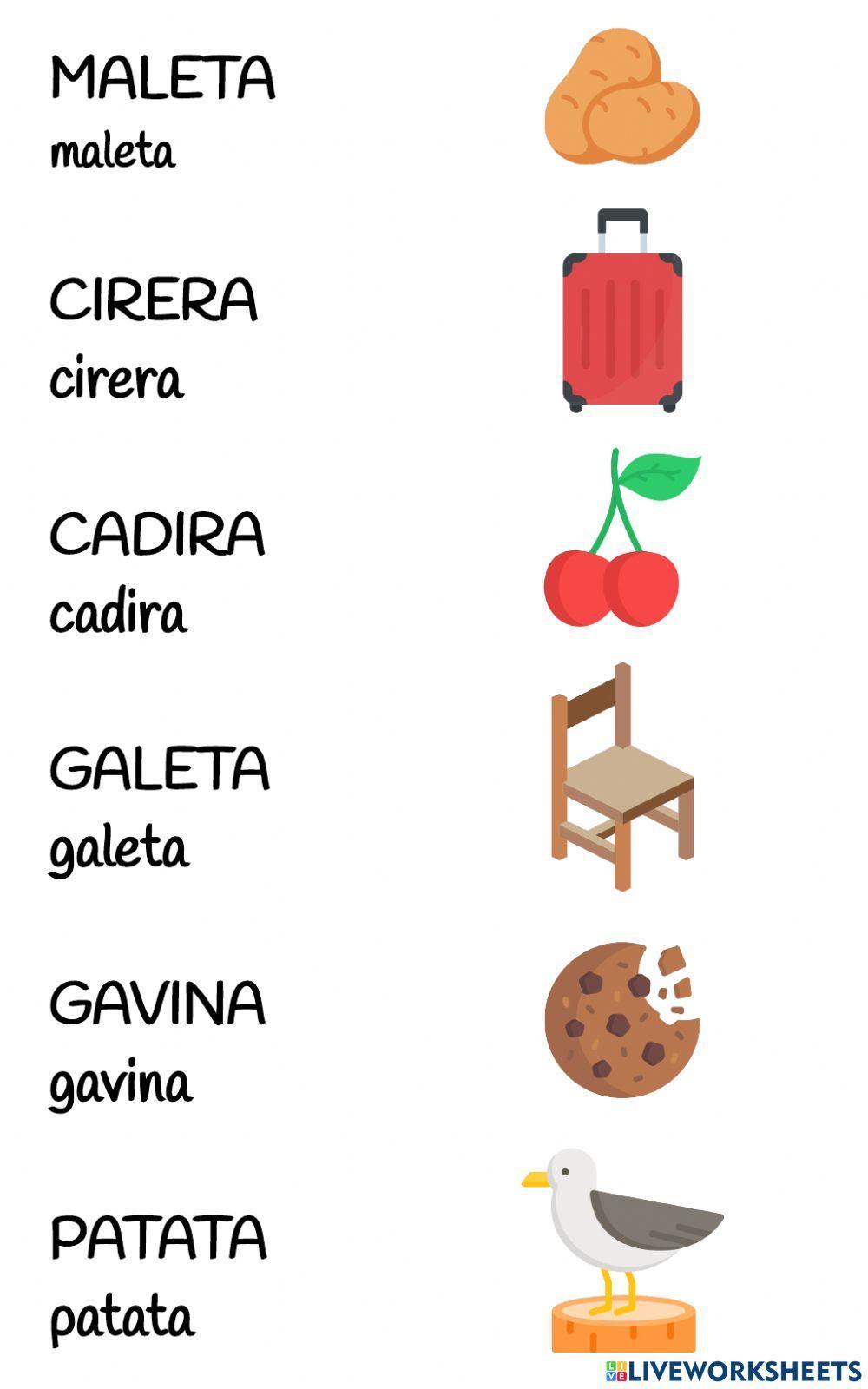Comprensió lectora unir paraules amb imatge