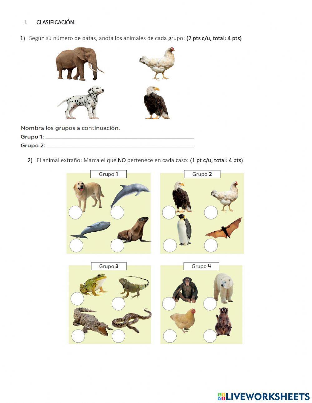 Evaluación vertebrados e invertebrados