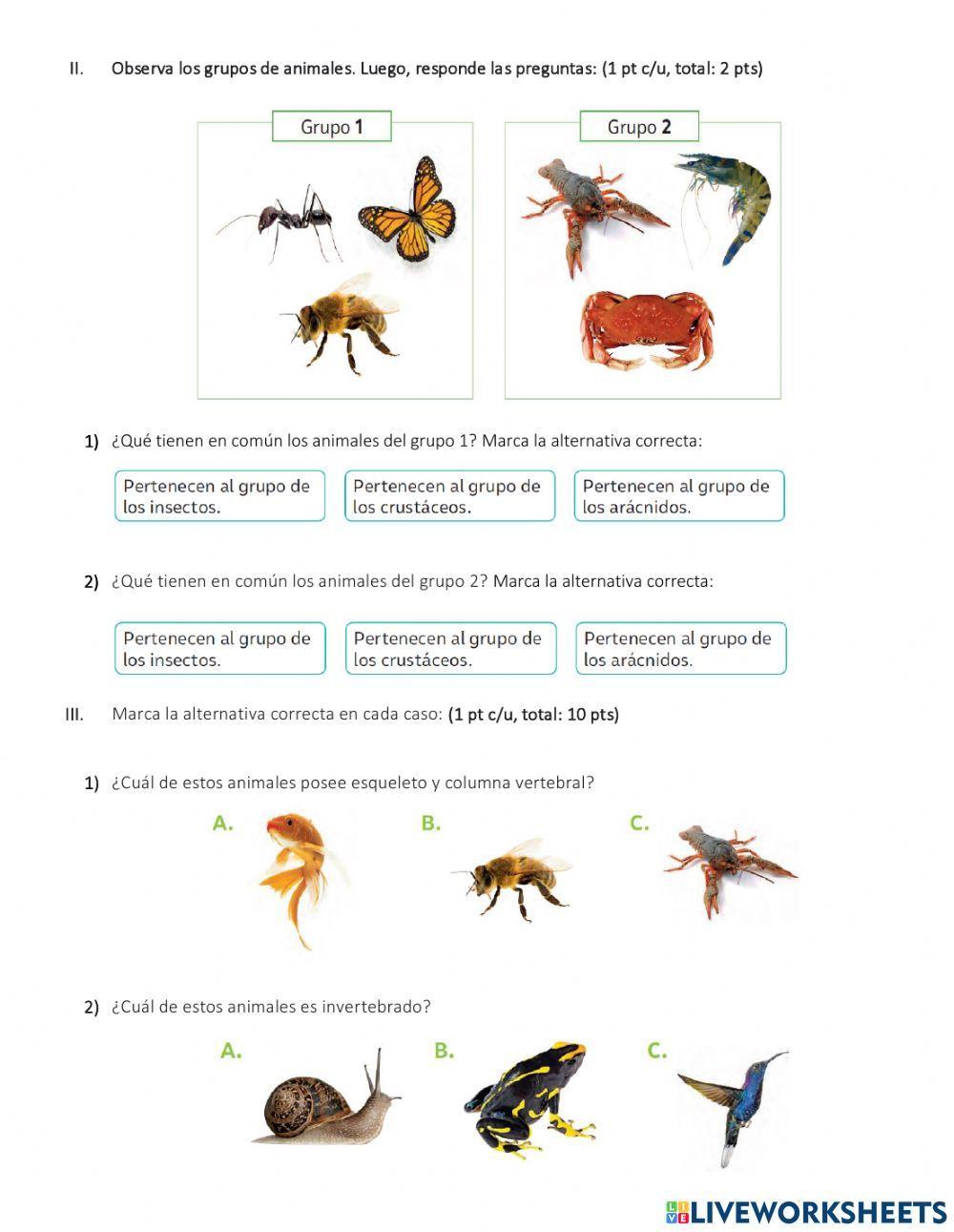 Evaluación vertebrados e invertebrados