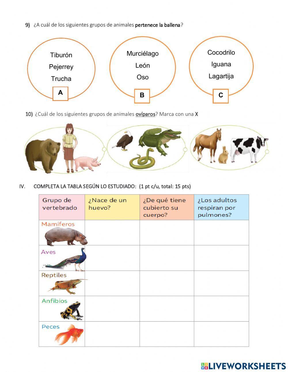 Evaluación vertebrados e invertebrados