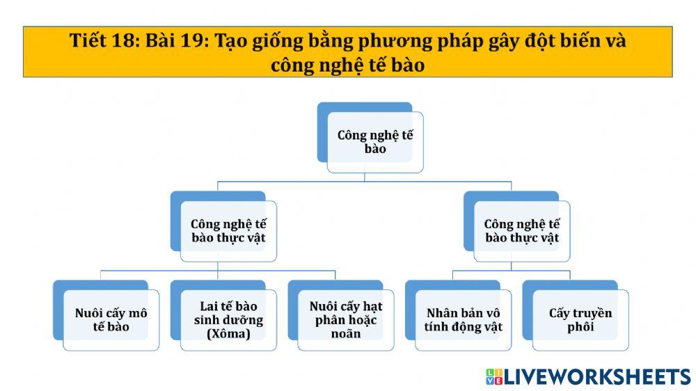 Bài 19:Sinh học 12