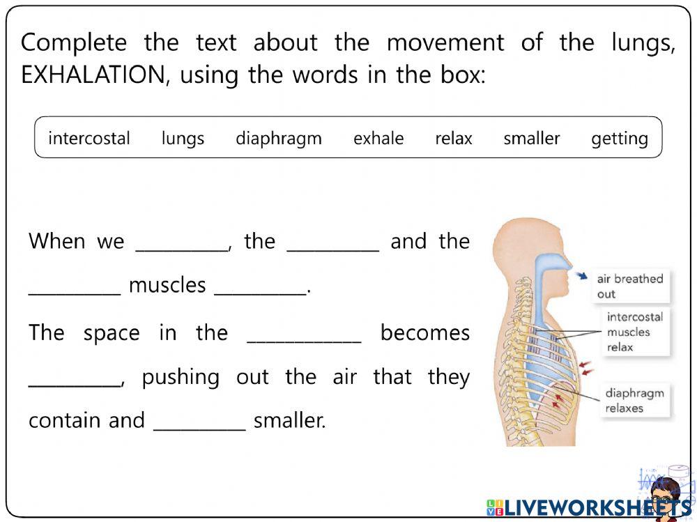 Nutrition Worksheets 6-11