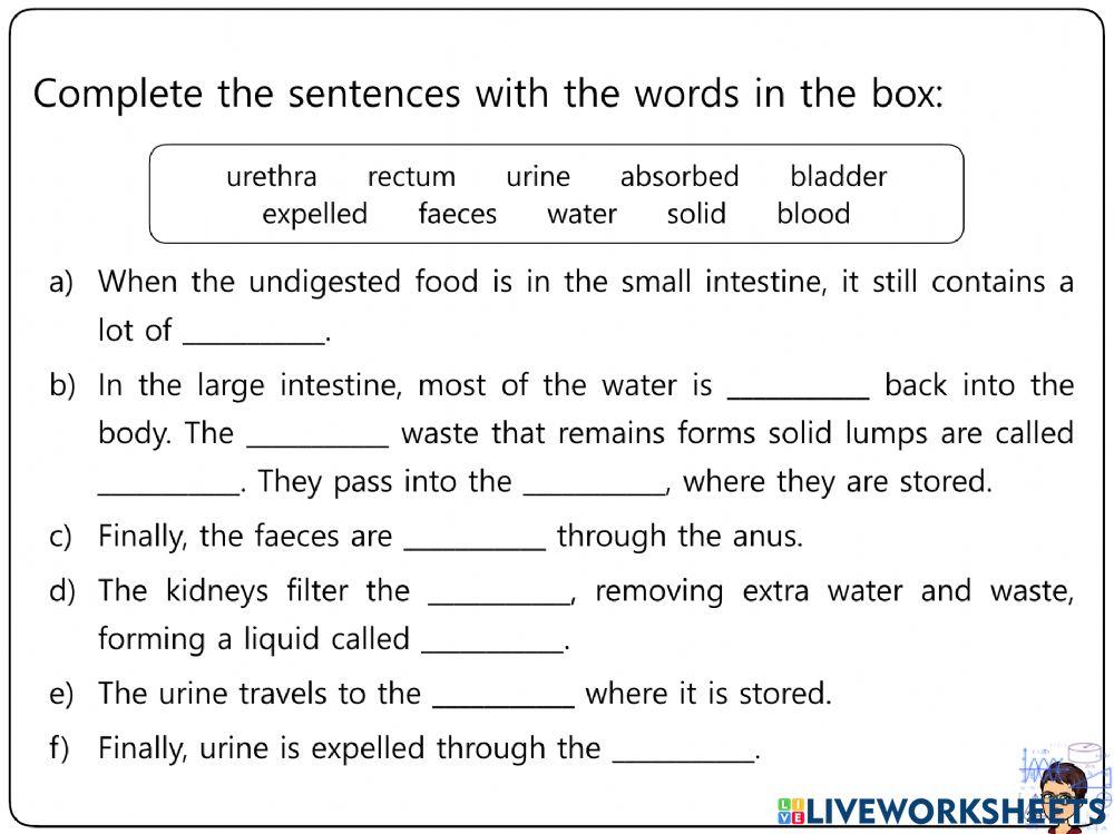 Nutrition Worksheets 17-20