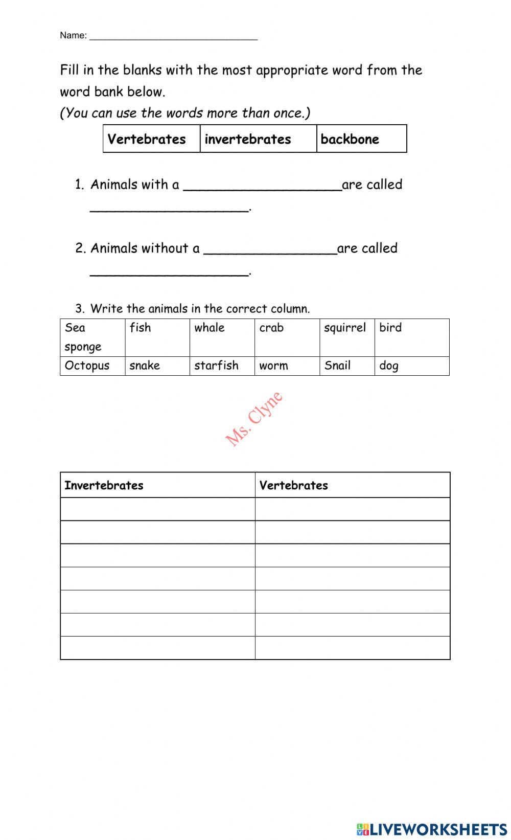 Vertebrates and Invertebrates