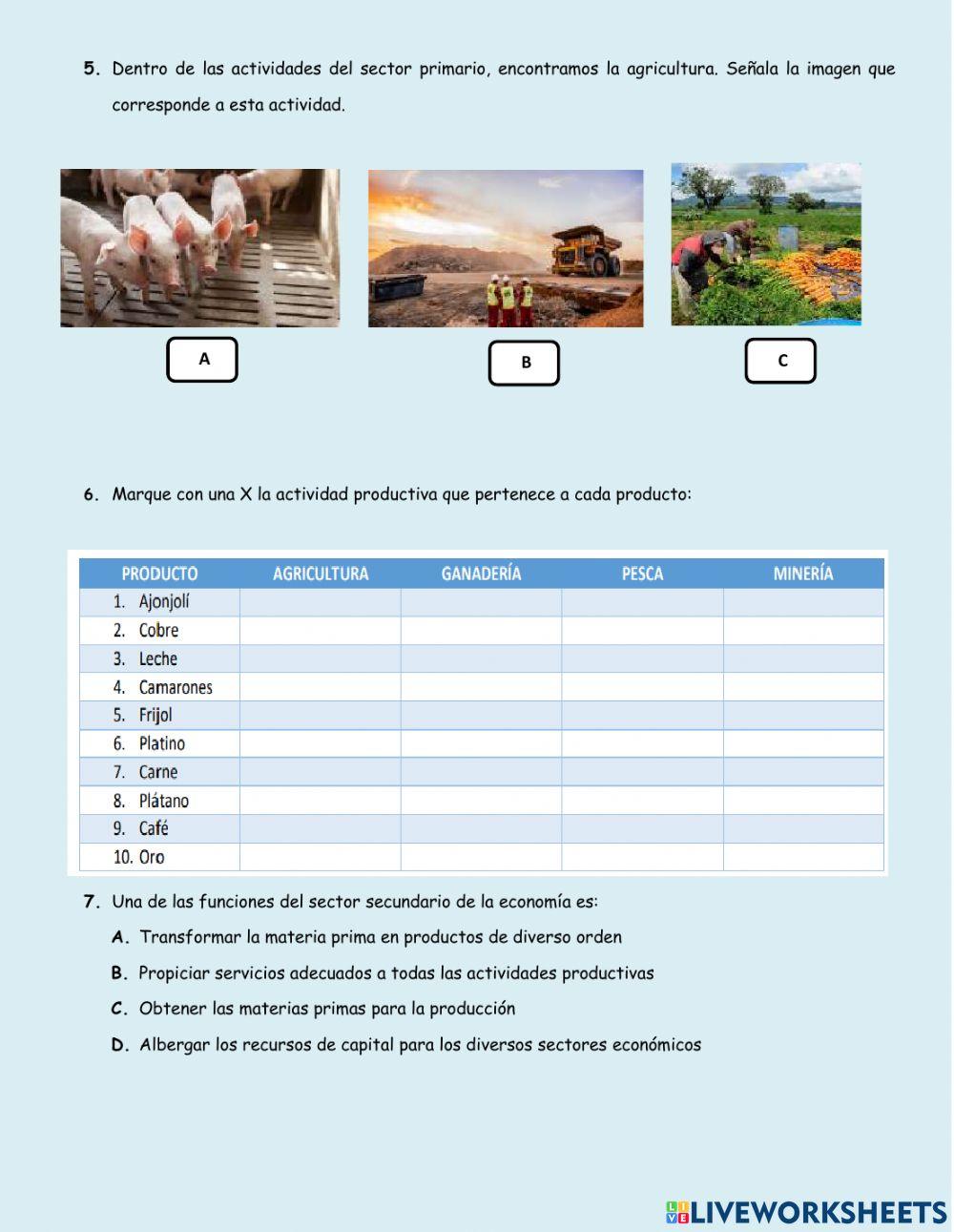 Quiz ciencias sociales quinto