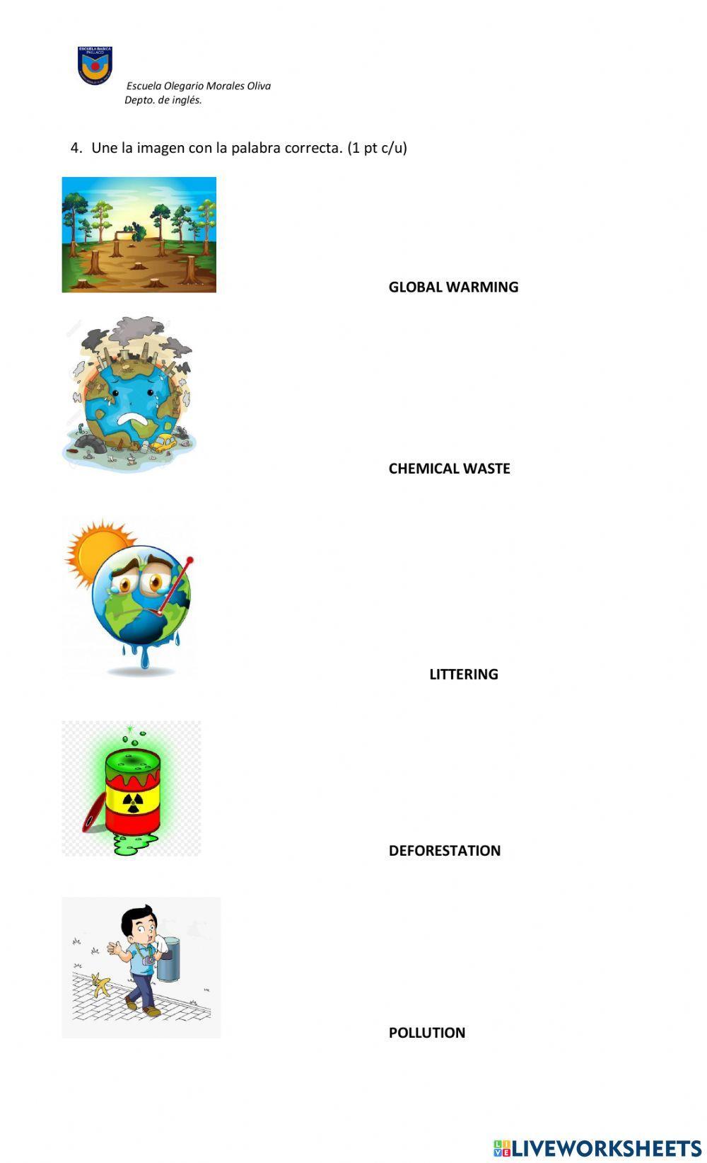 Prueba septimo green issues