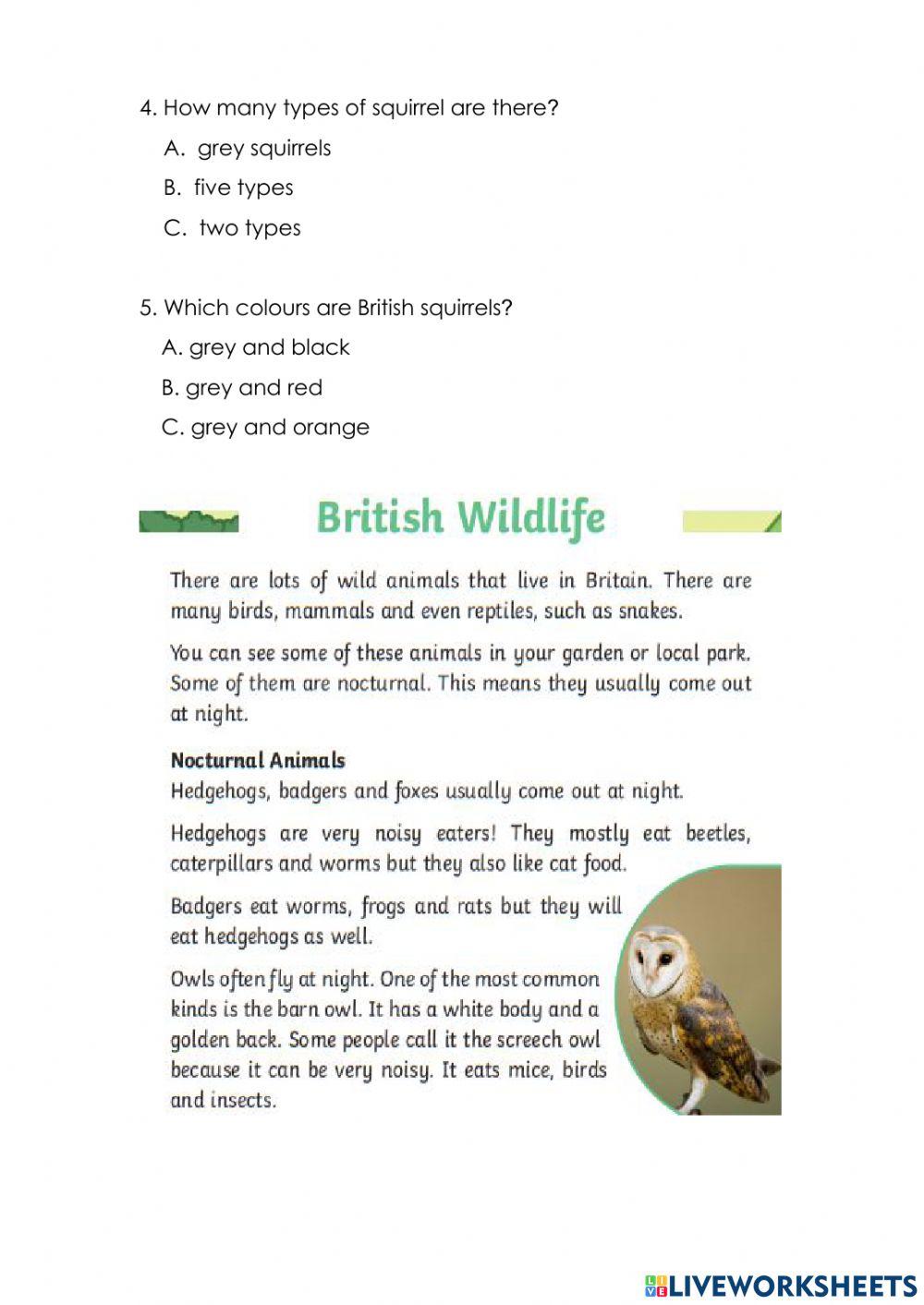 P3 ENG Reading 2511 online exercise for Live Worksheets