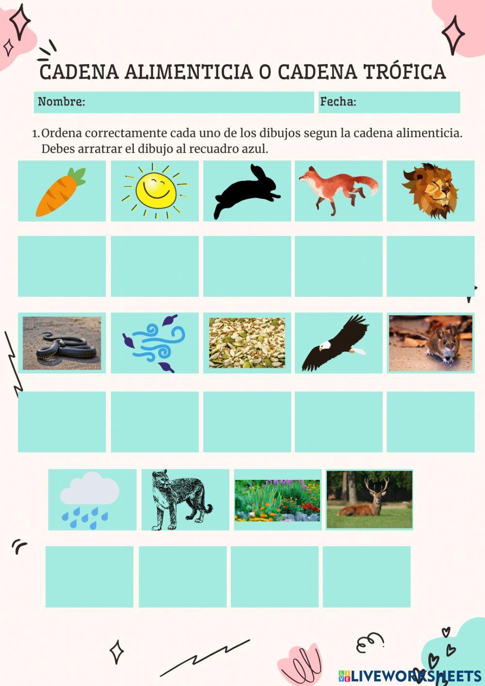 Cadena alimenticia o trófica