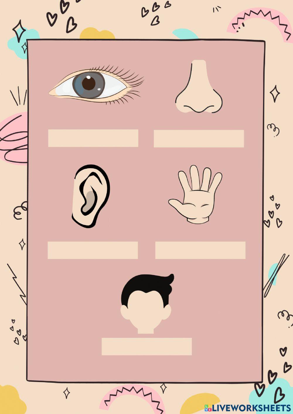 Kuis Bahasa Jawa SD Panca Indera