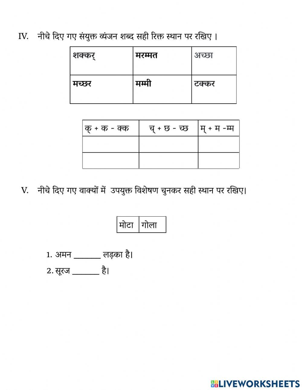 कक्षा 3 पाठ-5 गोल-गोल संसार-व्याकरणिक कार्य- कार्य पत्रिका