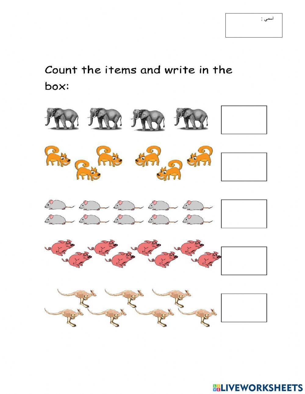 دبلوم الصغار