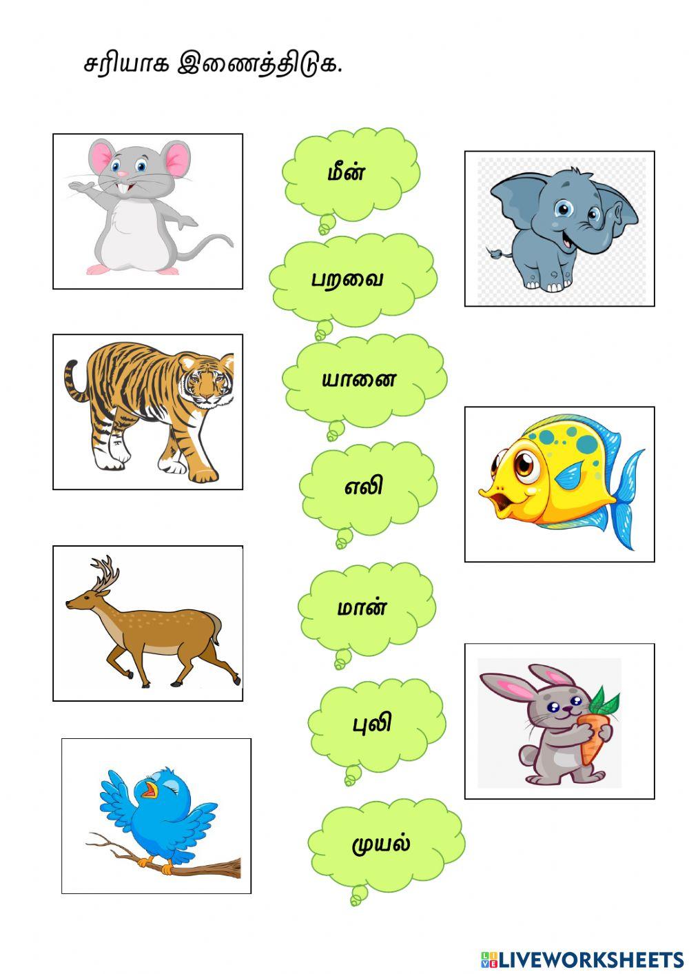 Animals -:Tamil