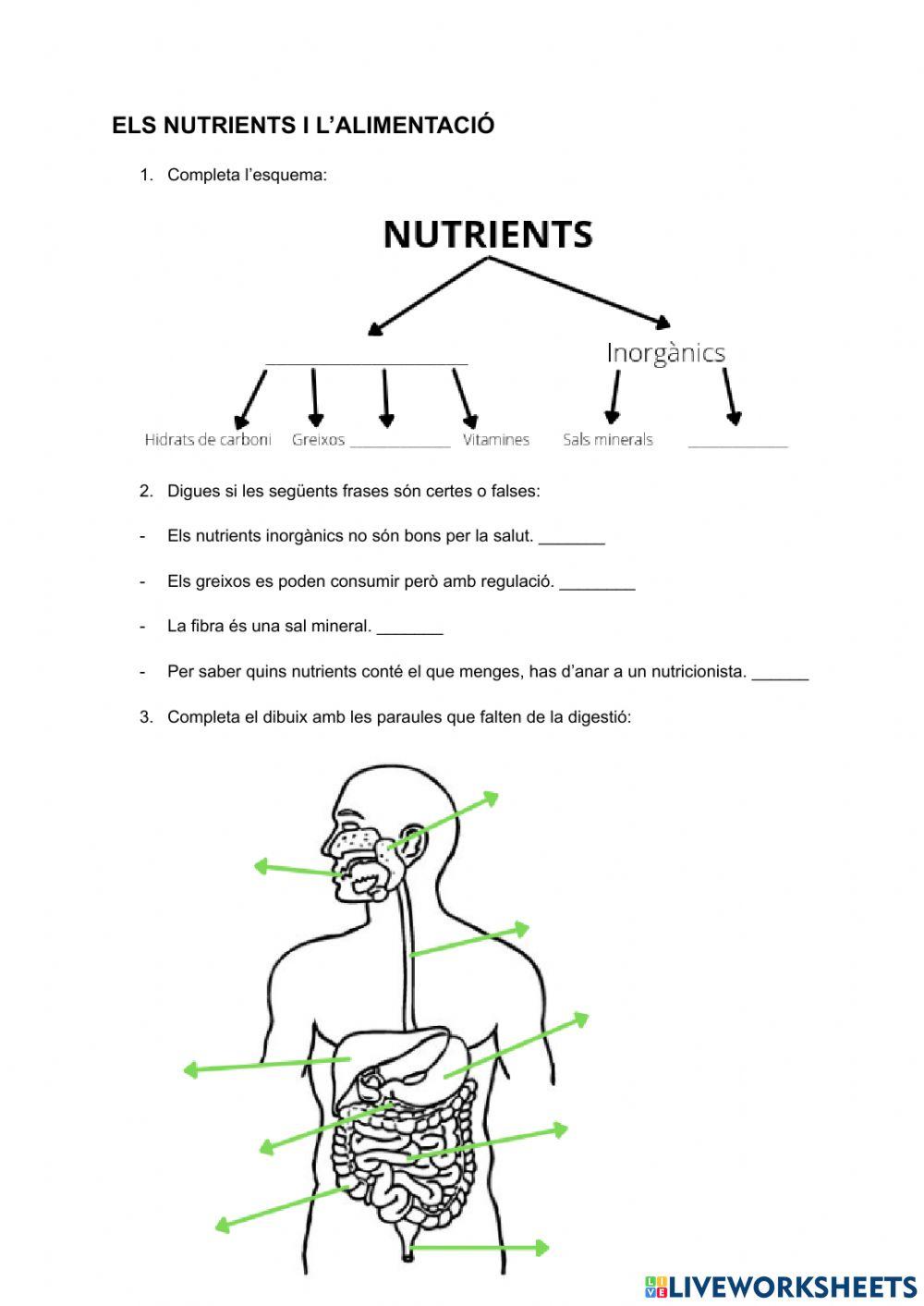 Nutrició i aparell digestiu
