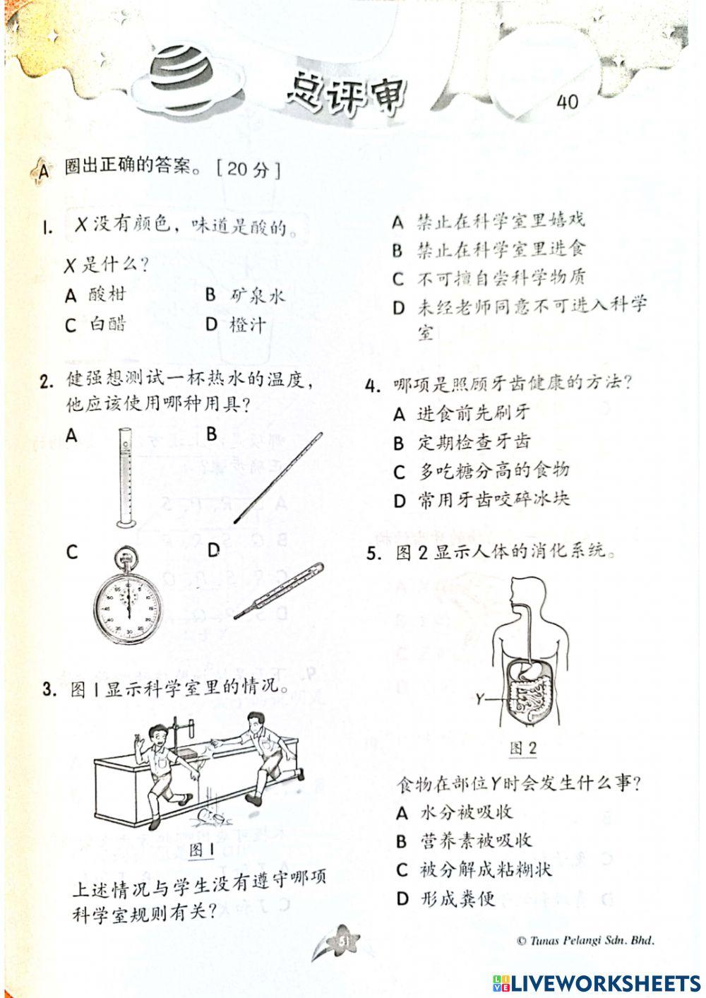 三年级科学总评审