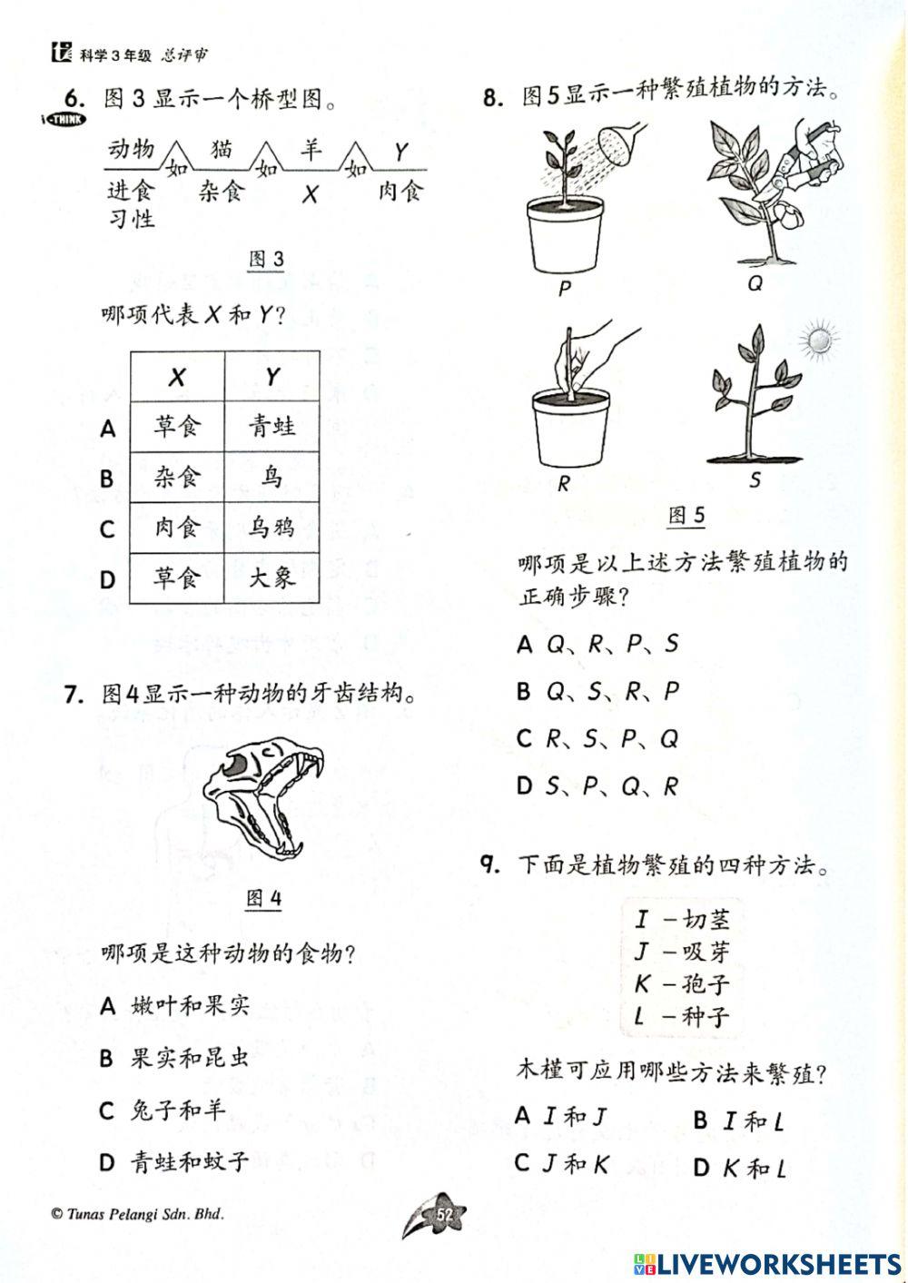 三年级科学总评审