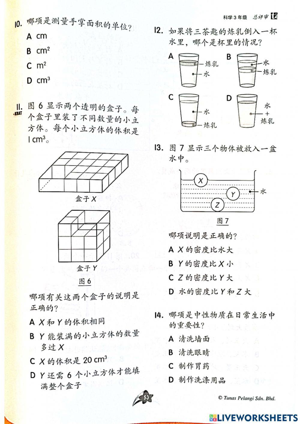 三年级科学总评审