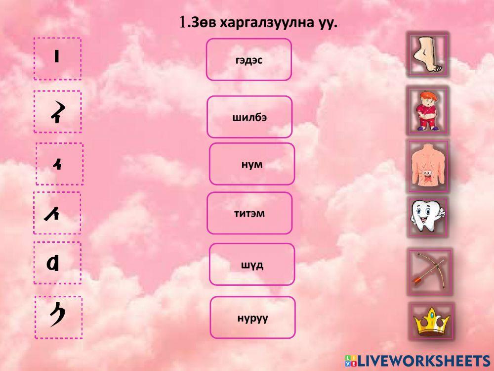 Үндсэн зурлага 1663732 | "Хөгжил" ЦС МХУЗ | Live