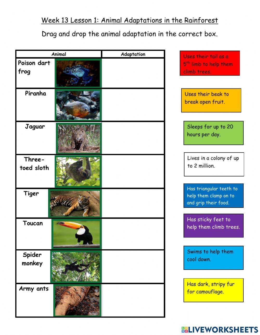 Week 13 Lesson 1 Humanities