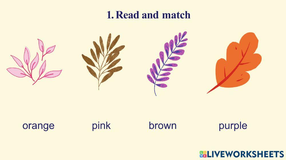 Ôn tập giữa kì khối 2