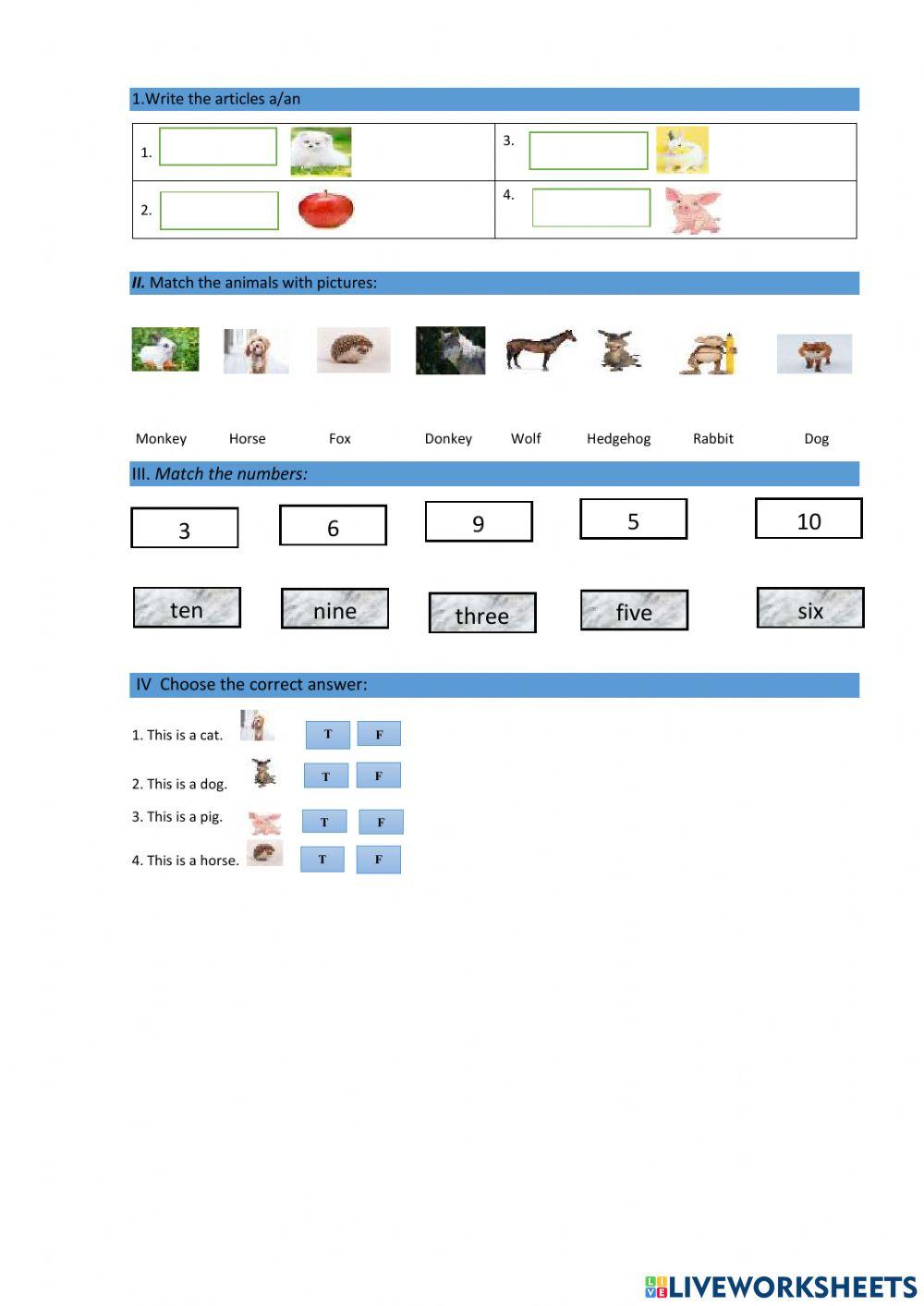 Activitate de invatare