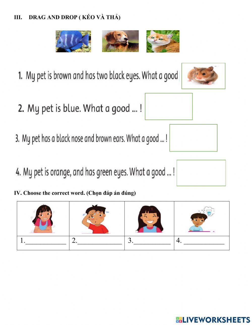 Lớp 2- culture 1 and unit 2:lessons 1&2