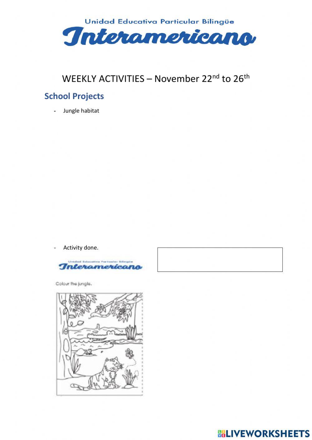 Weekly activities 29