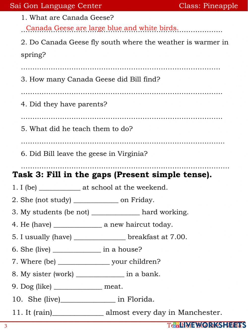 They're from Australia