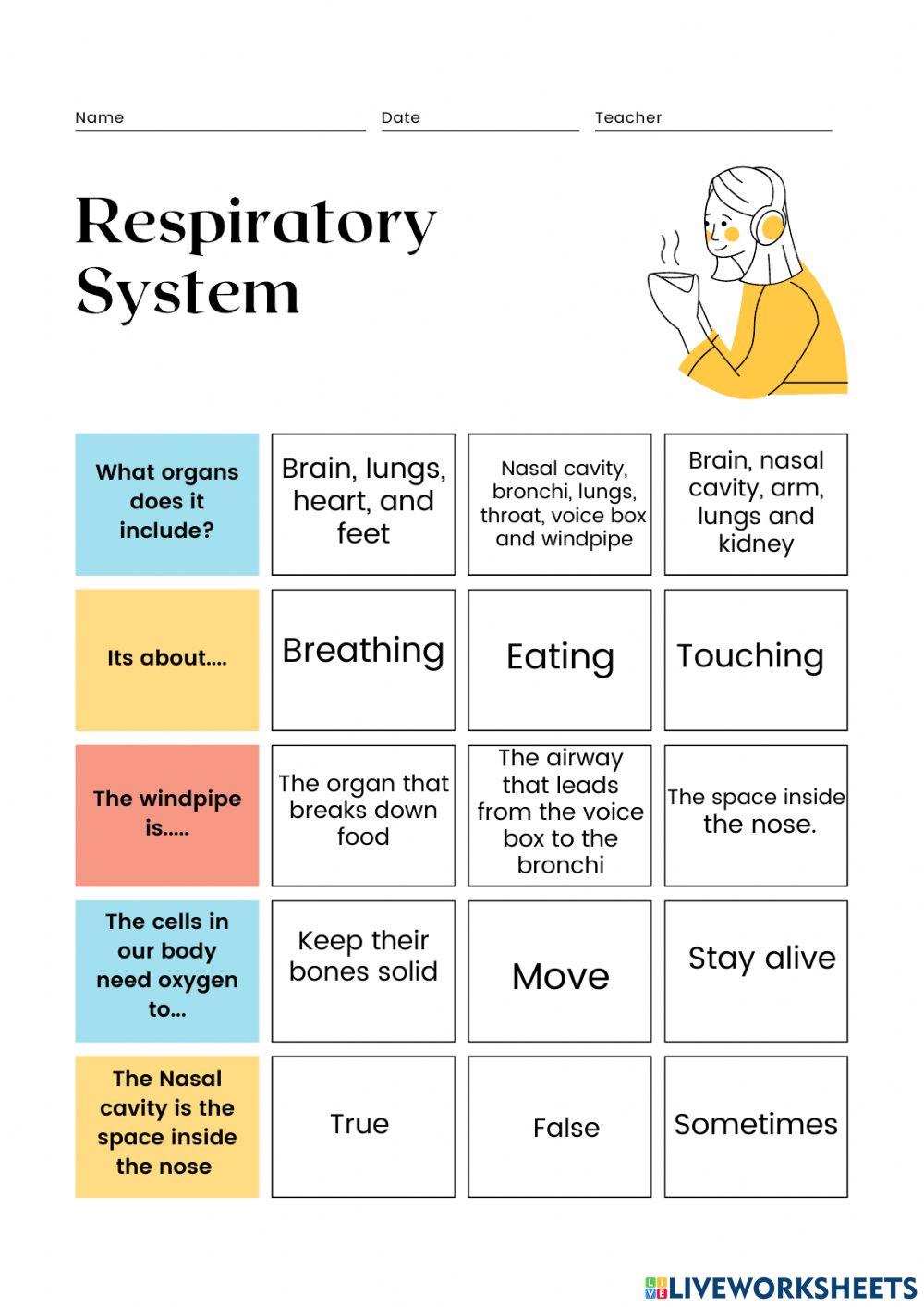 Respiratory system worksheet