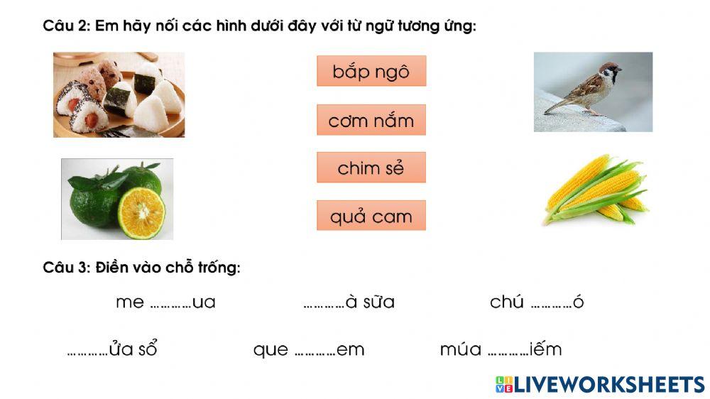 Kiểm tra giữa kì 1 - tiếng việt