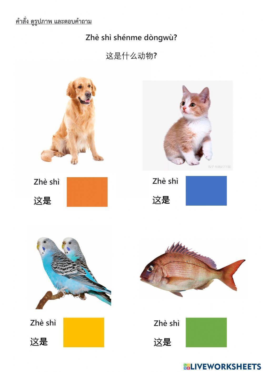 Animal in Chinese