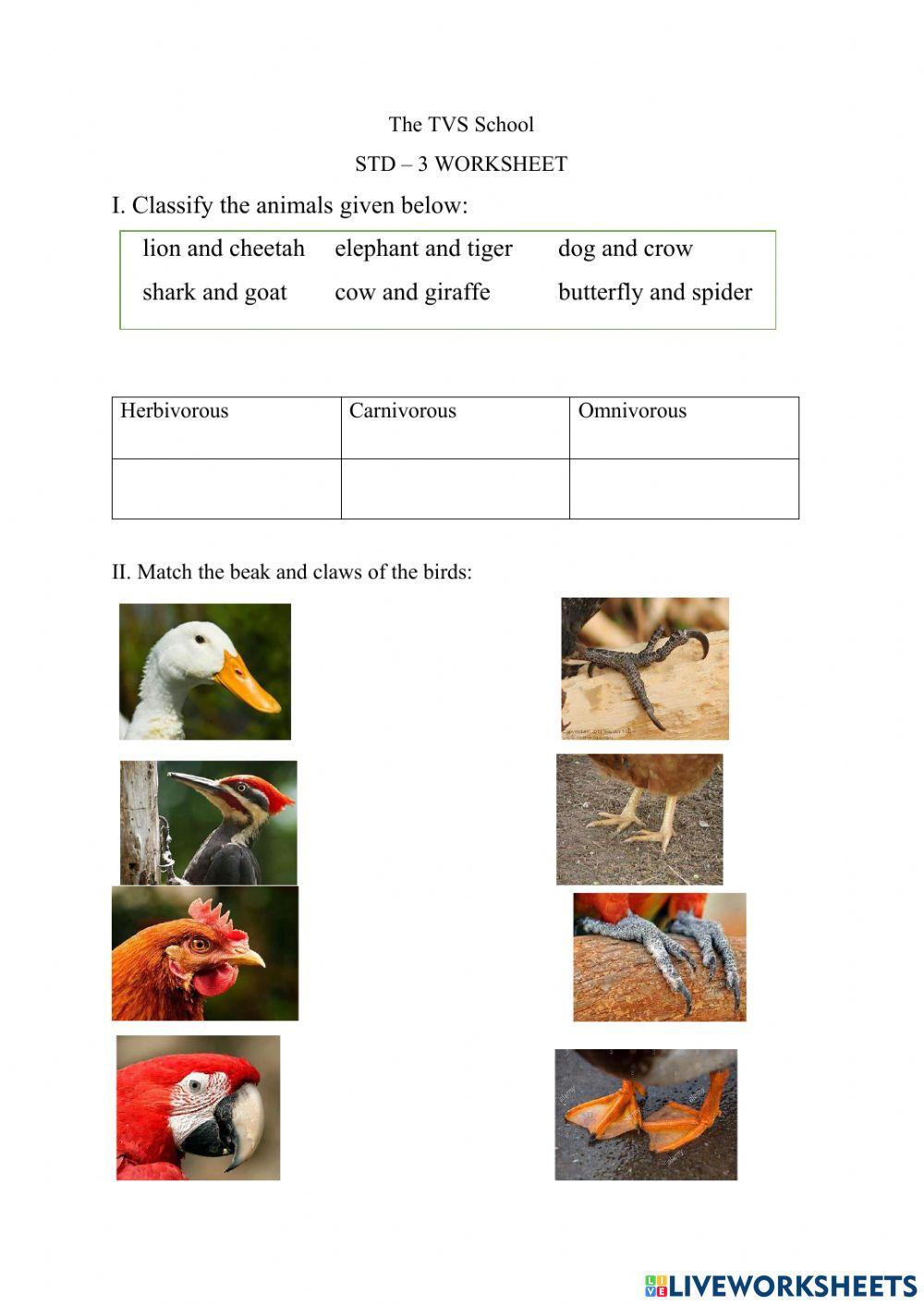Class 3 - Animals Worksheet
