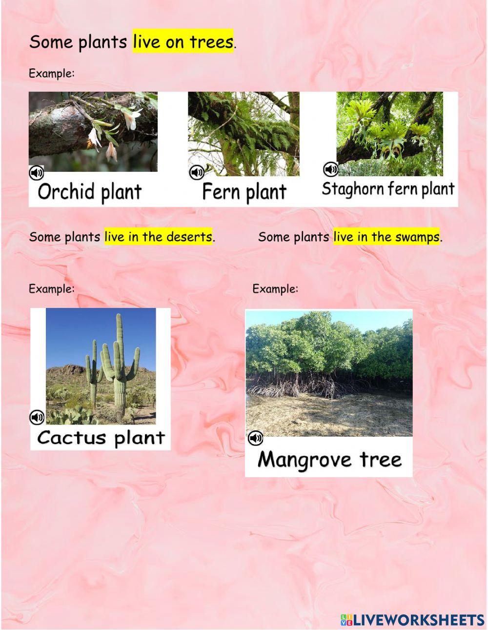 Different plants habitat