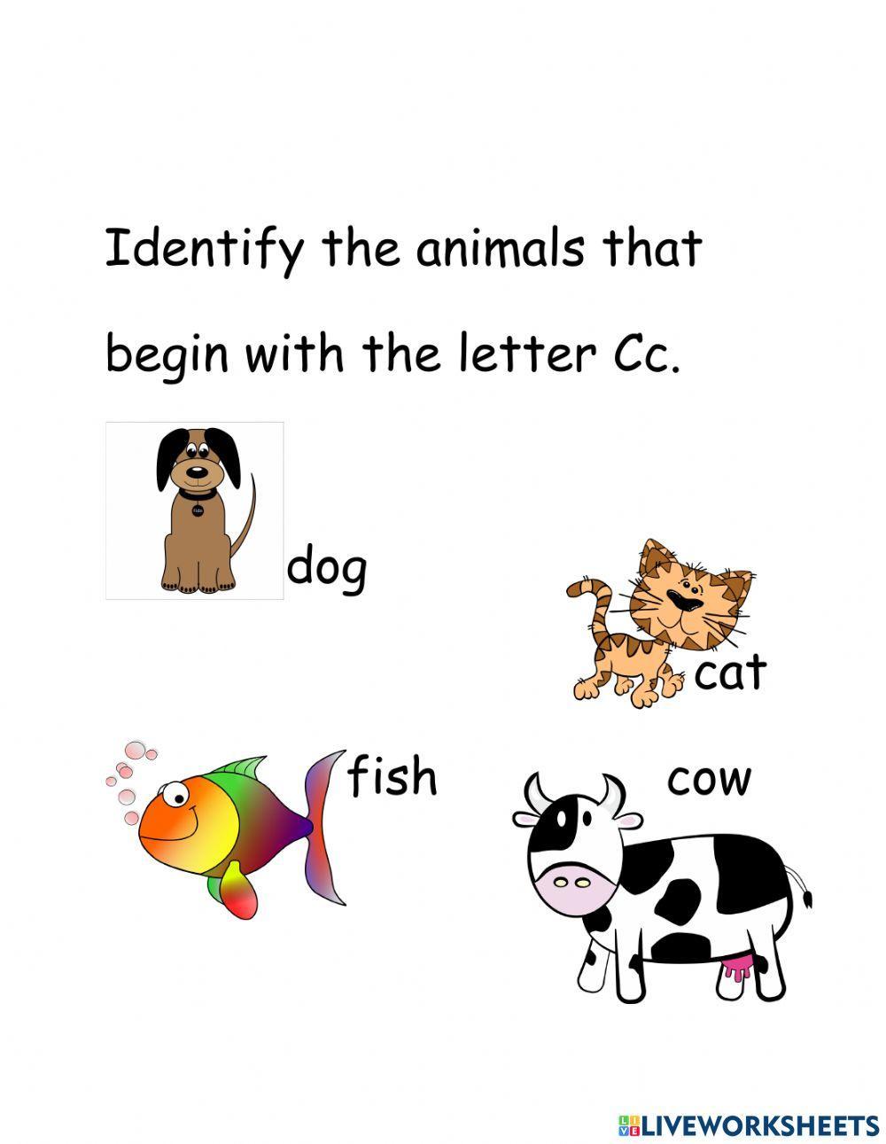 Phonics Letters and Letter Sounds