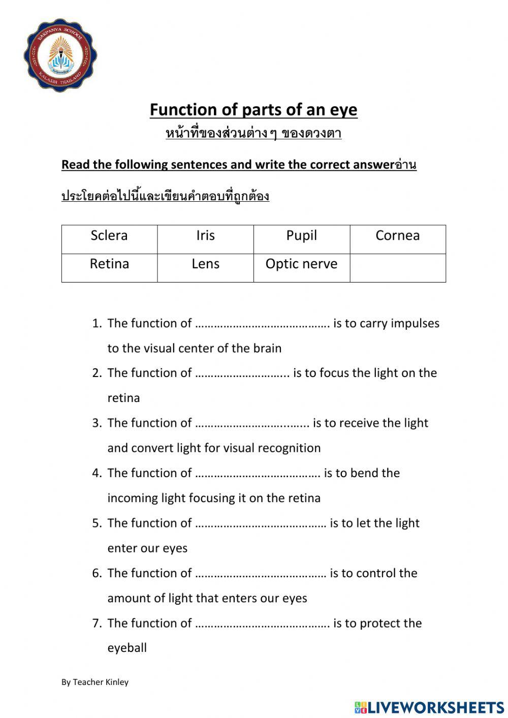 Function of parts of an eye Function of parts of an eye