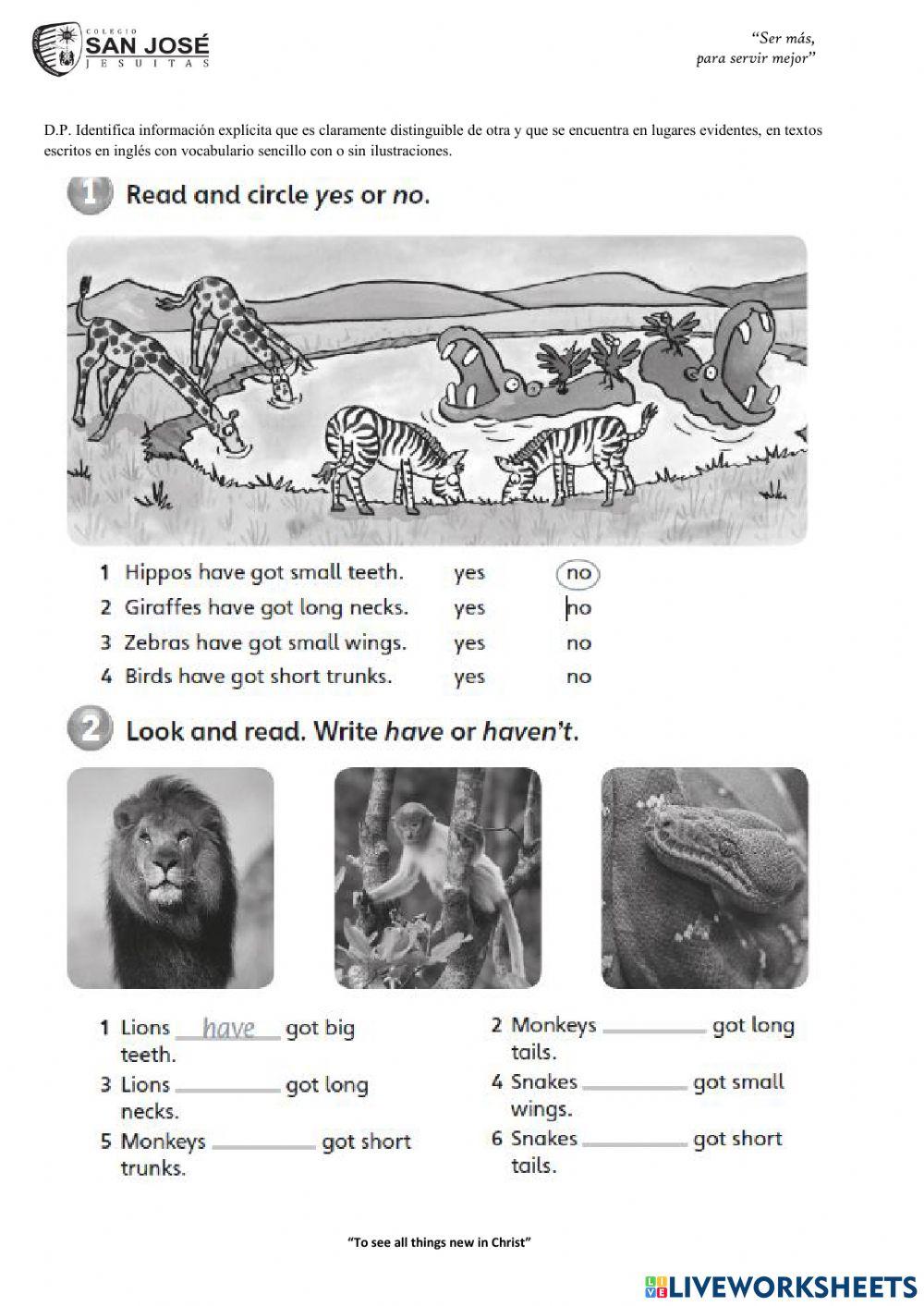 Questions about animals body parts