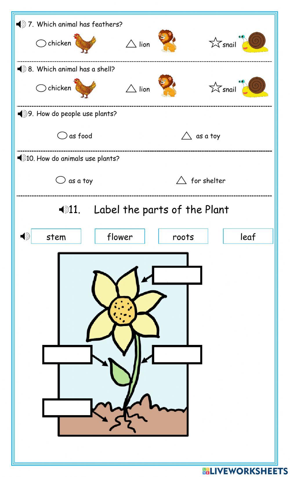 November Assessment IDU DJ