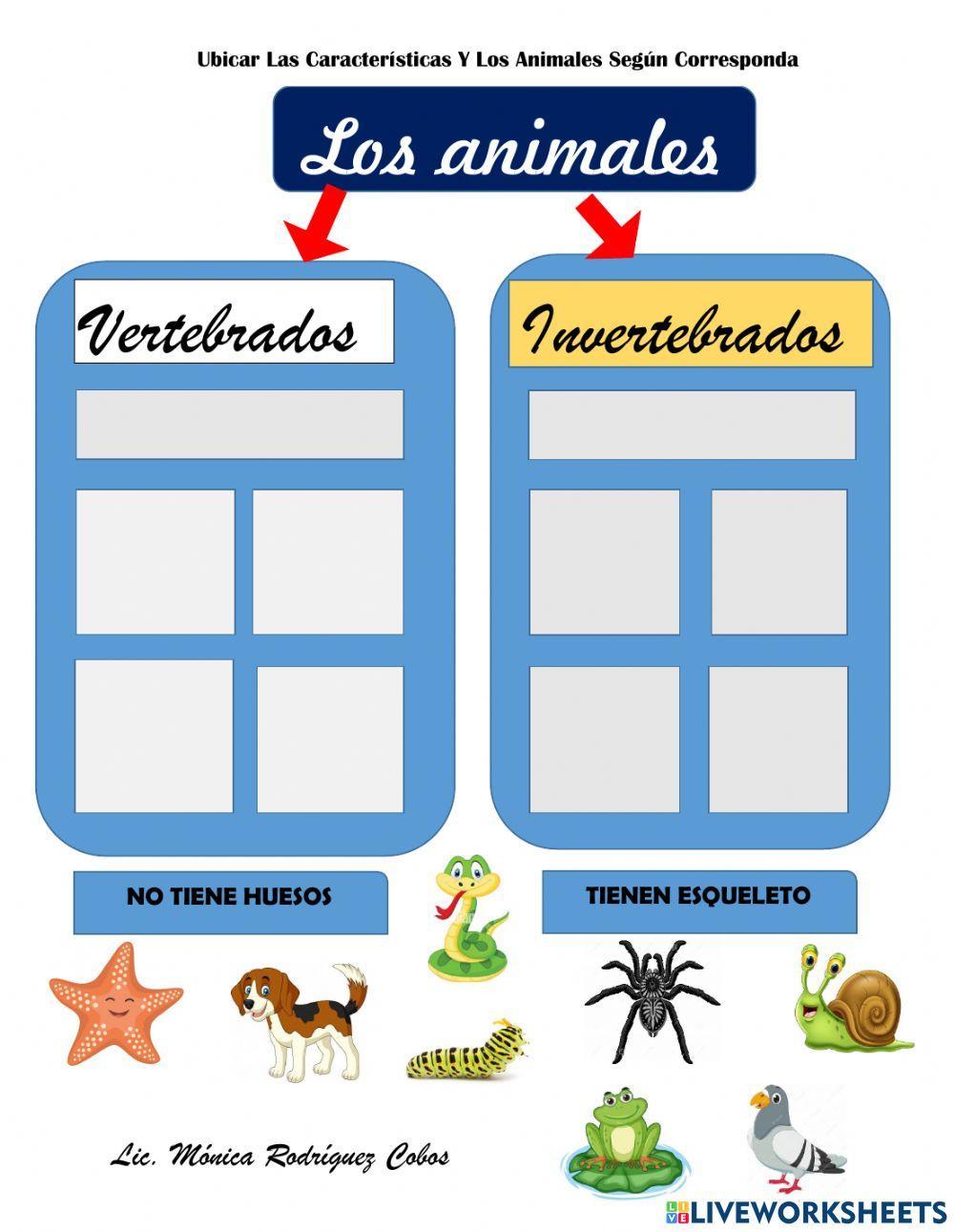 Clasificación de los animales