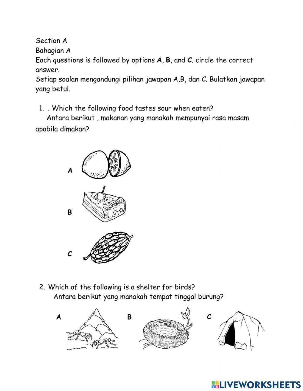 Pentaksiran Sumatif Sains