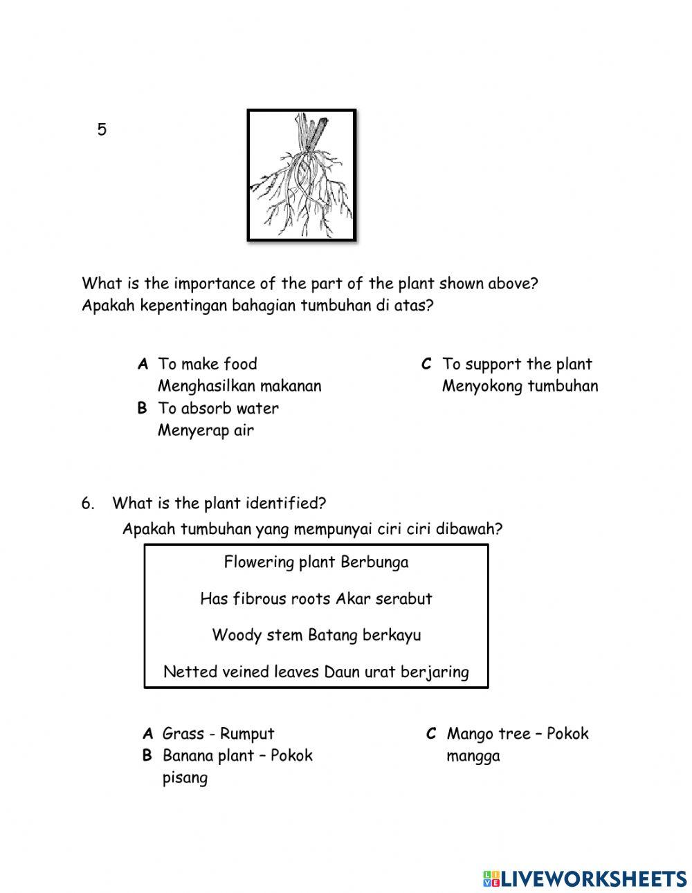 Pentaksiran Sumatif Sains