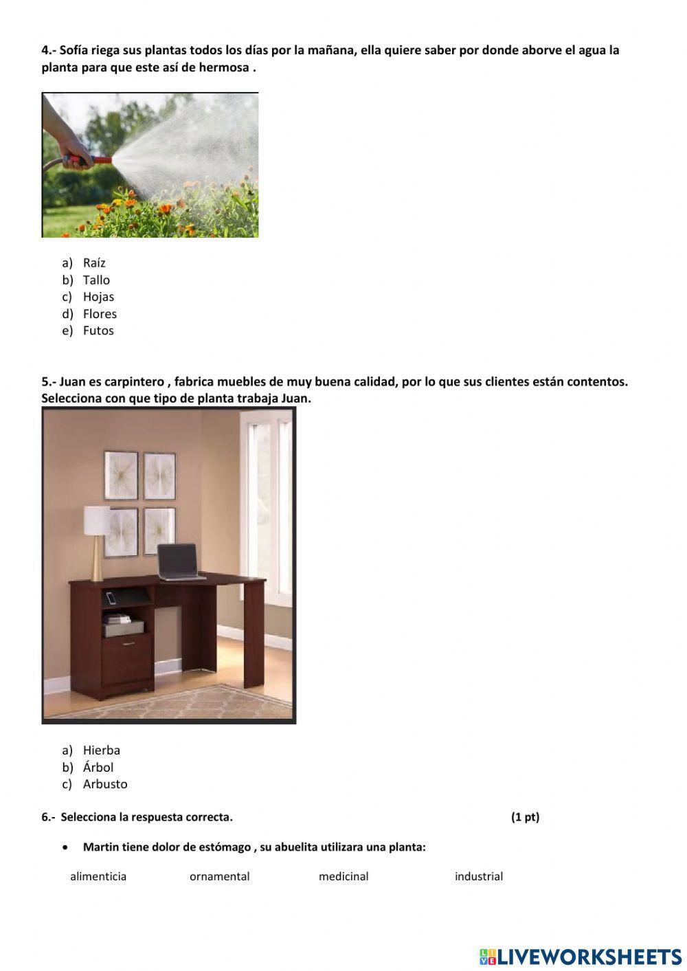 Evaluación i parcial