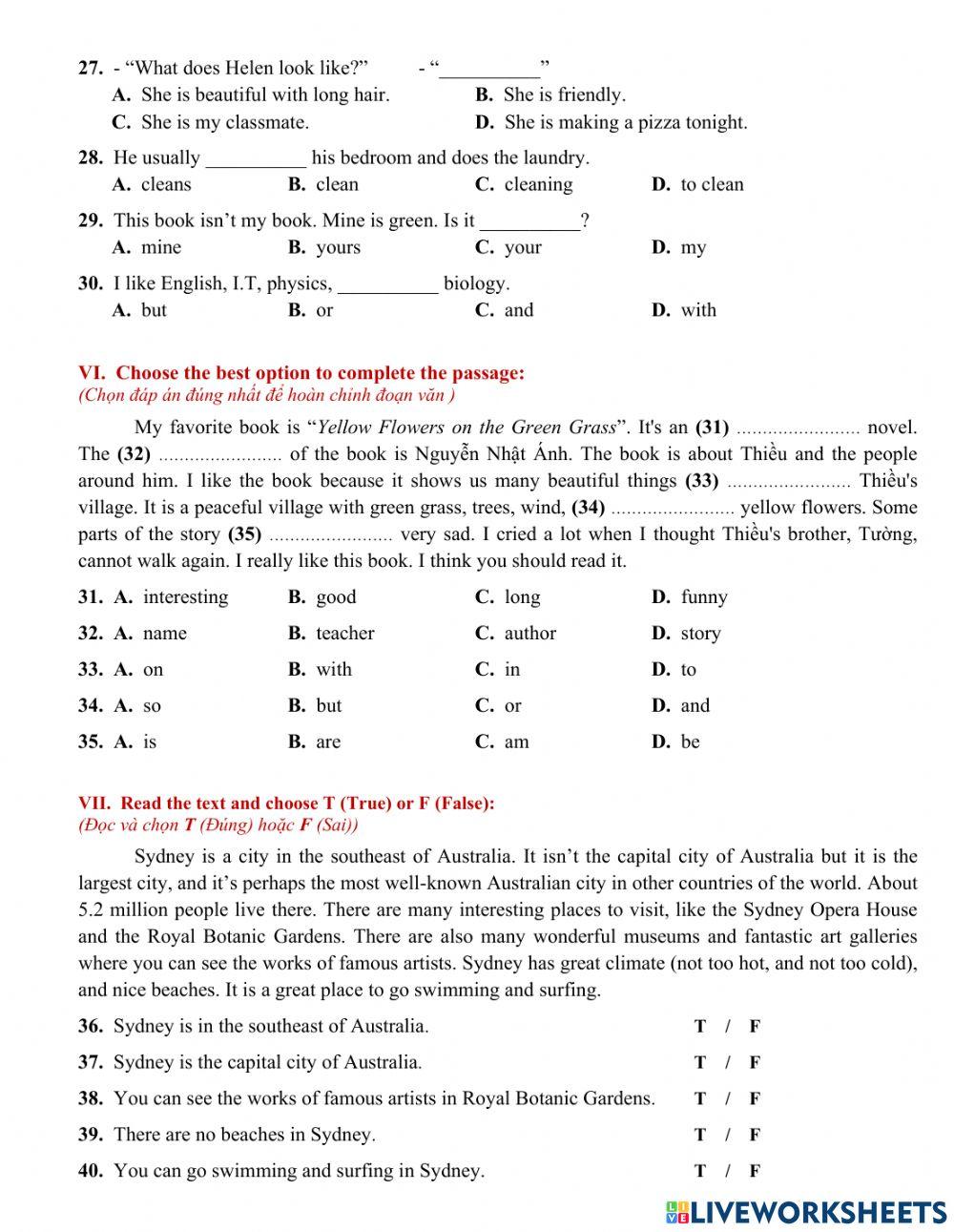 THE FIRST MID-TERM ENGLISH TEST - GRADE 6