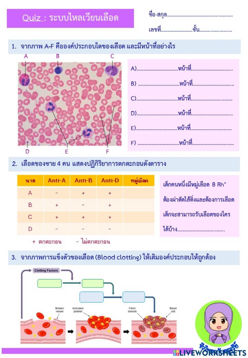 Quiz-ระบบไหลเวียนเลือด(เลือด)