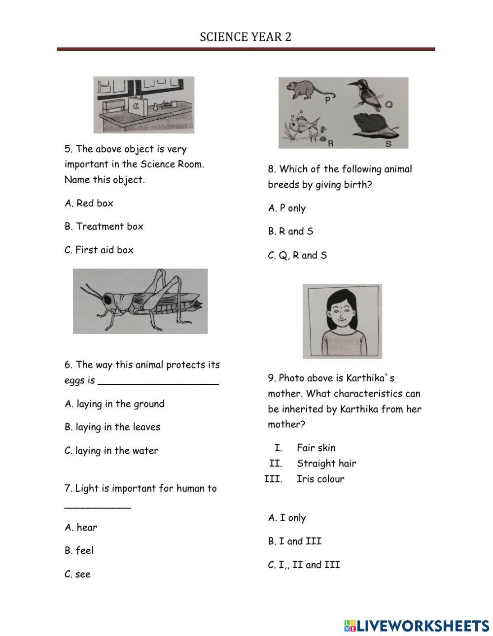 Pentaksiran Sumatif Sains Tahun 2