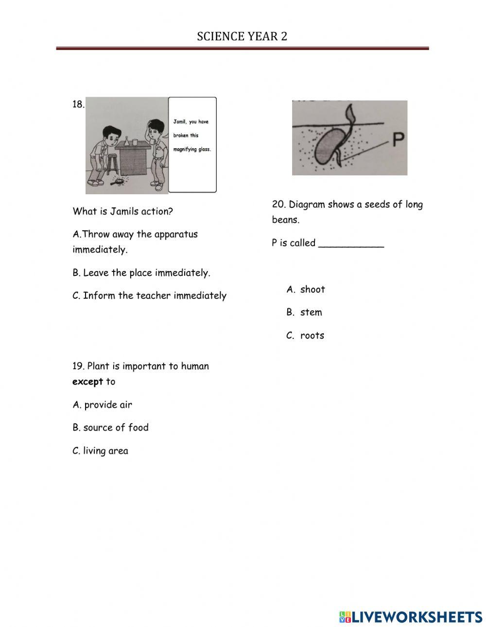 Pentaksiran Sumatif Sains Tahun 2