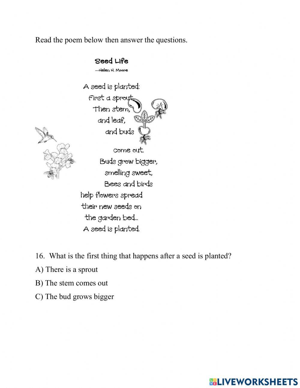 Reading and Comprehension