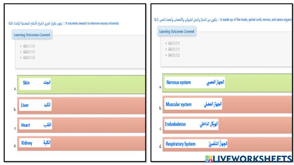 مراجعة عامة