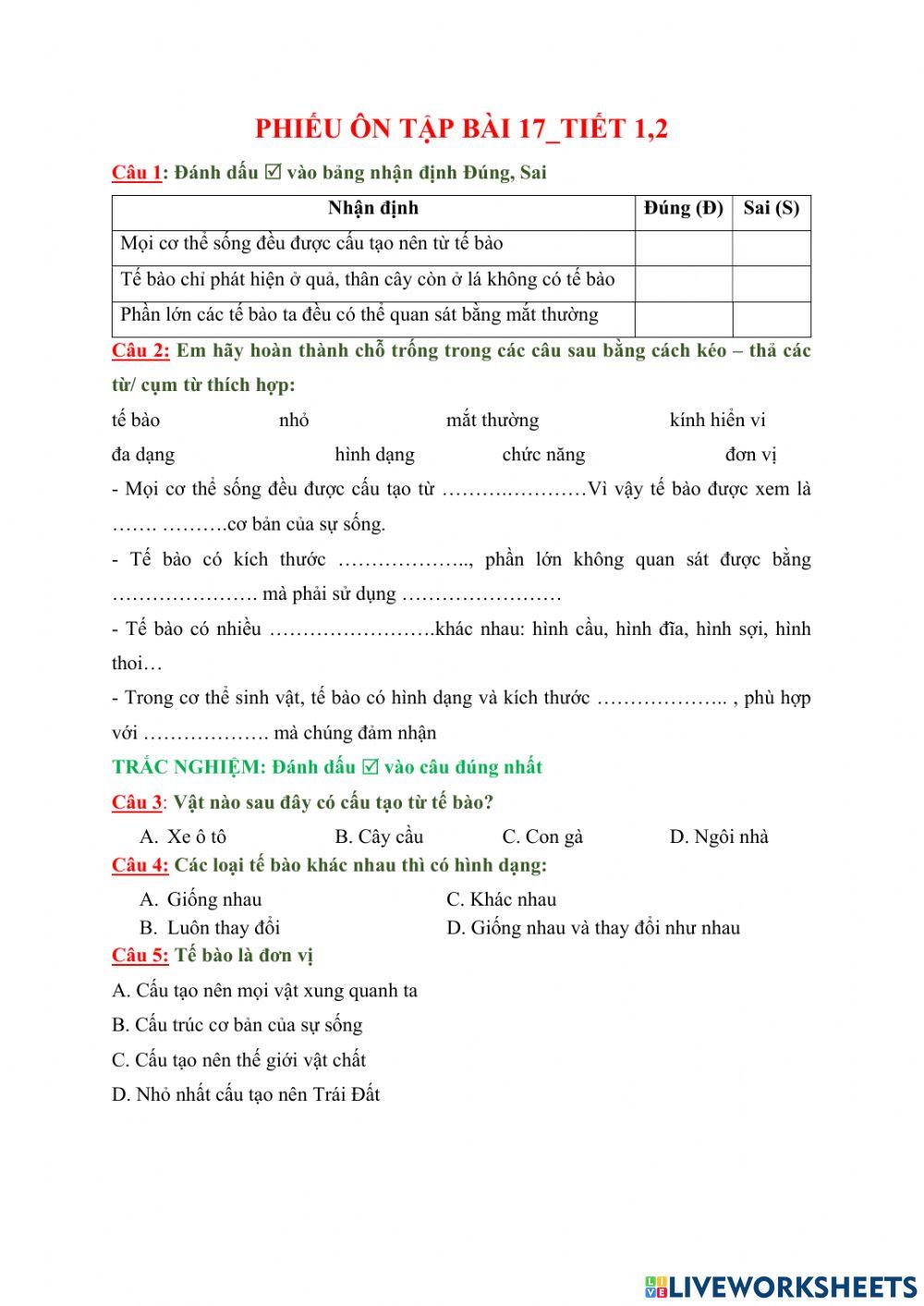 Phiếu ôn tập bài 17