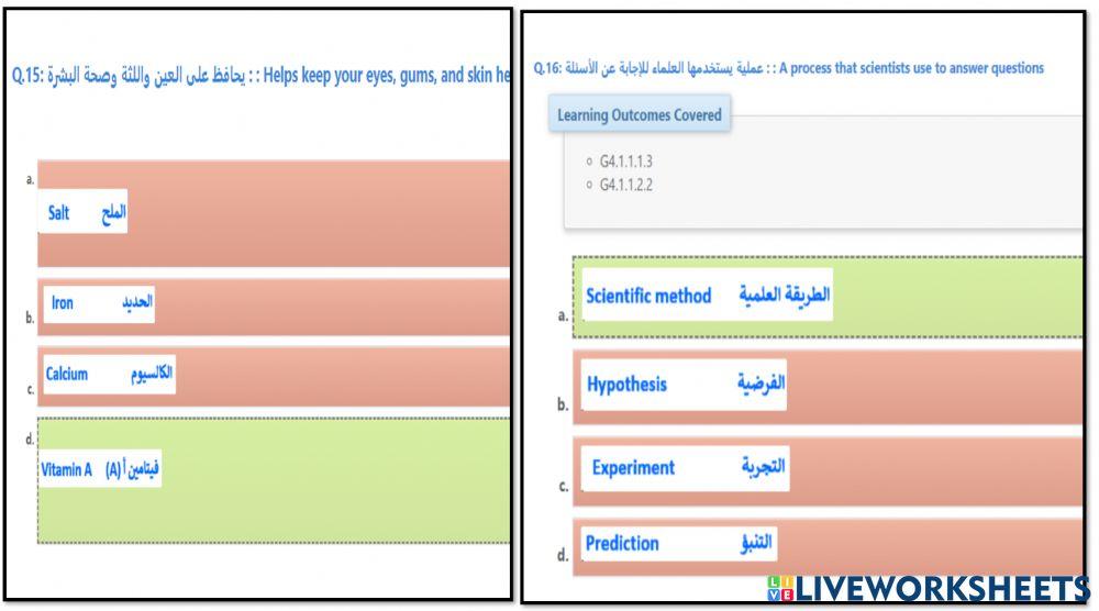 مراجعة عامة