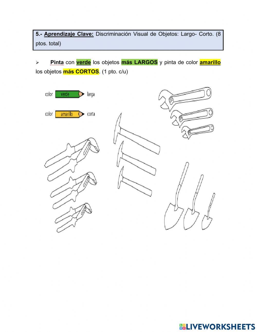 Evaluación kinder matemática