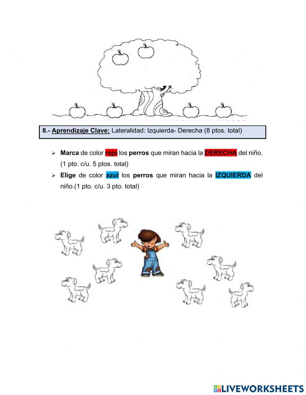 Evaluación kinder matemática